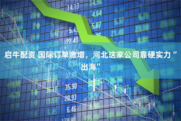 启牛配资 国际订单激增，河北这家公司靠硬实力“出海”