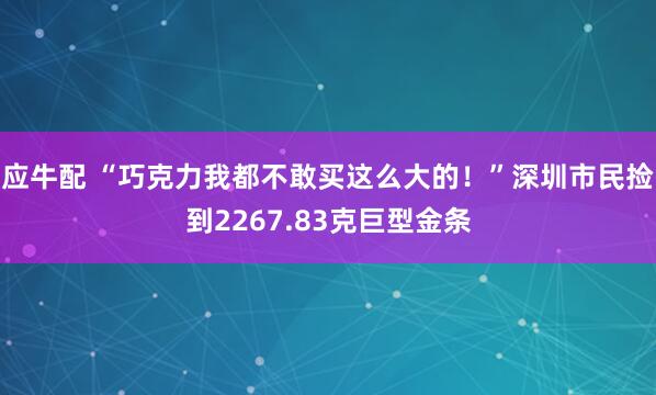 应牛配 “巧克力我都不敢买这么大的！”深圳市民捡到2267.83克巨型金条