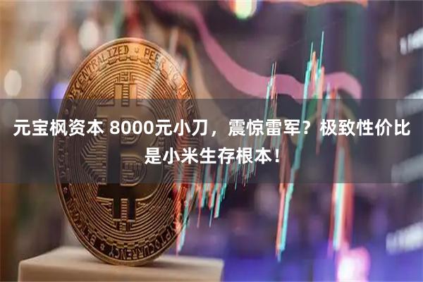 元宝枫资本 8000元小刀，震惊雷军？极致性价比是小米生存根本！