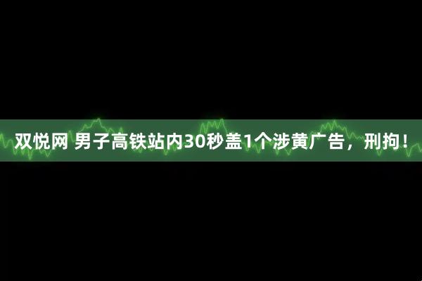 双悦网 男子高铁站内30秒盖1个涉黄广告，刑拘！