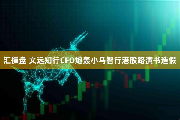 汇操盘 文远知行CFO炮轰小马智行港股路演书造假